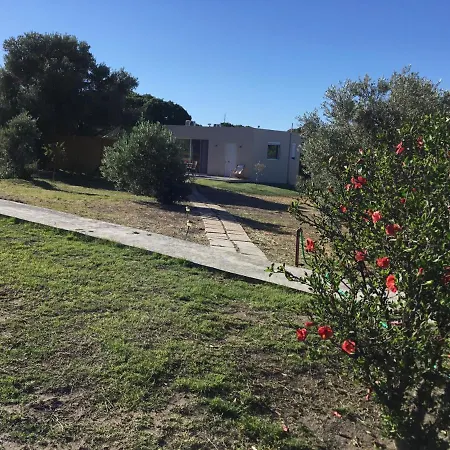 Dom wakacyjny Oikia Ampavris