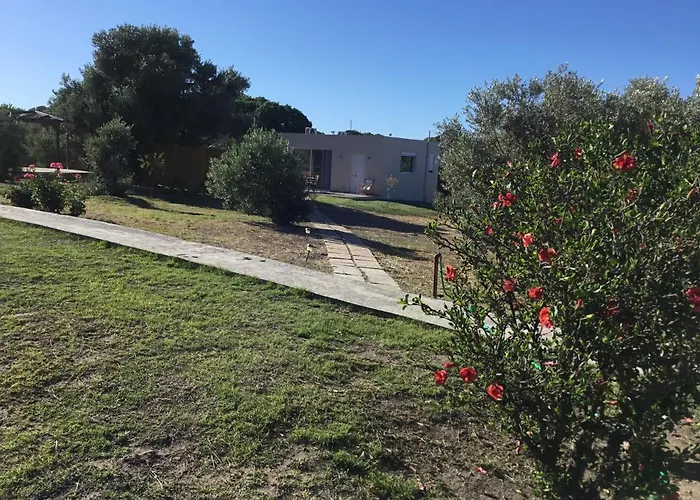 Holiday home Oikia Ampavris